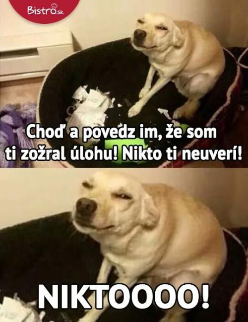 Nikdoo!