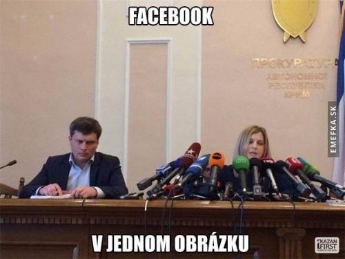  Facebook 