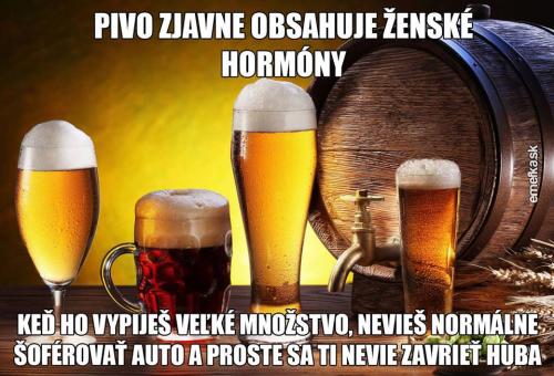  Pivo 