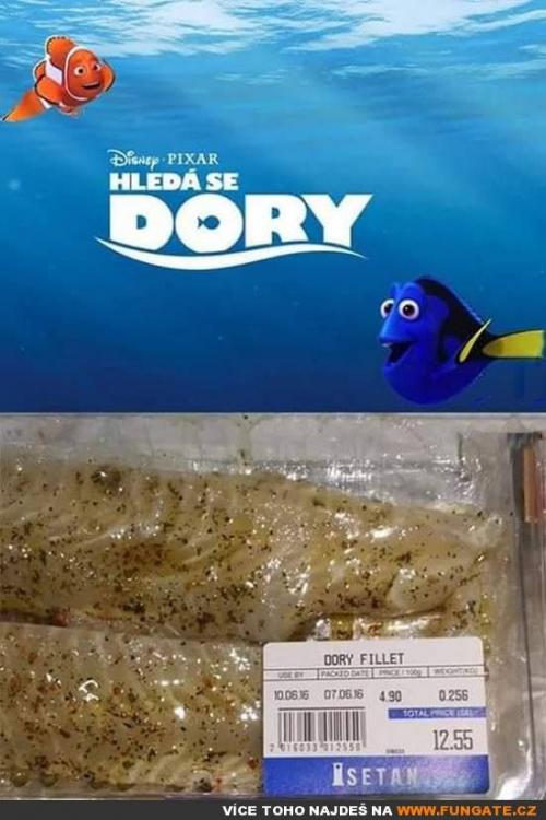  Dory se našla 