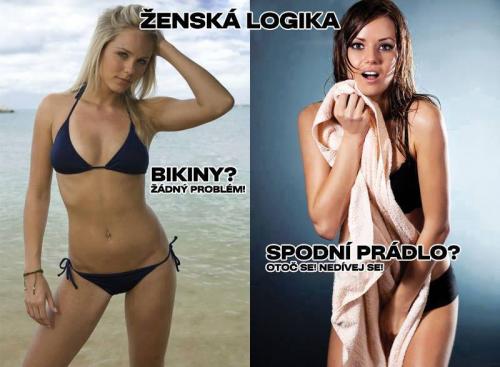  Ženská logika 