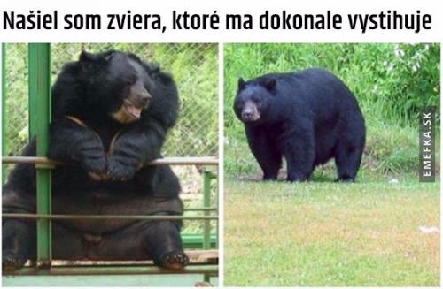 Vidím se v něm