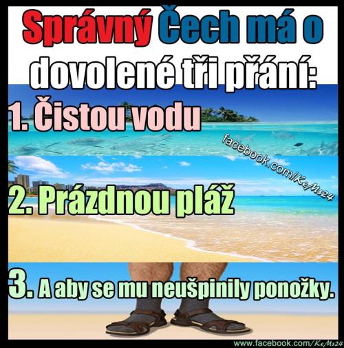  Čech 