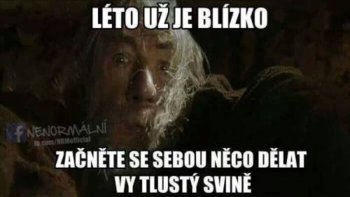  Léto je tu 