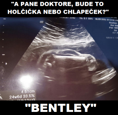 Bentley