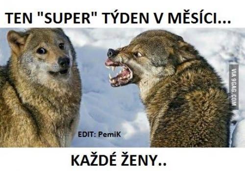 Týden ženy