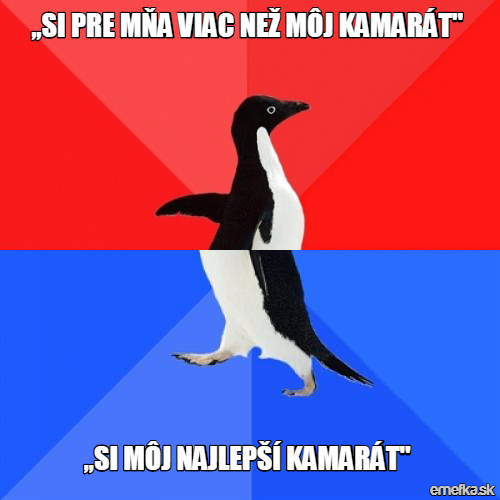  Nejlepší kamarád 