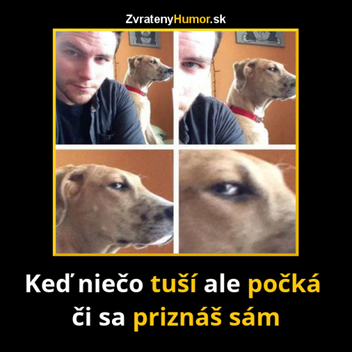  Když něc otušíš 