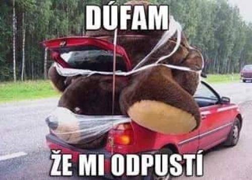 Odpustí