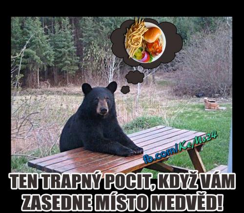  Když vám zasedne místo medvěd 