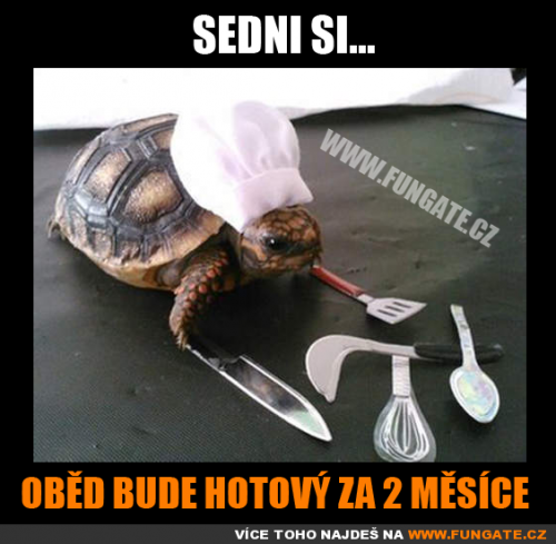  Sedni si - oběd 