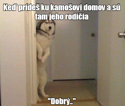  Když příjdeš domů ke kámošovi 