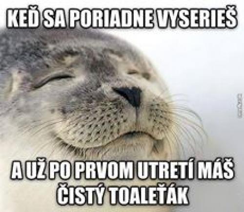 Po toaletě