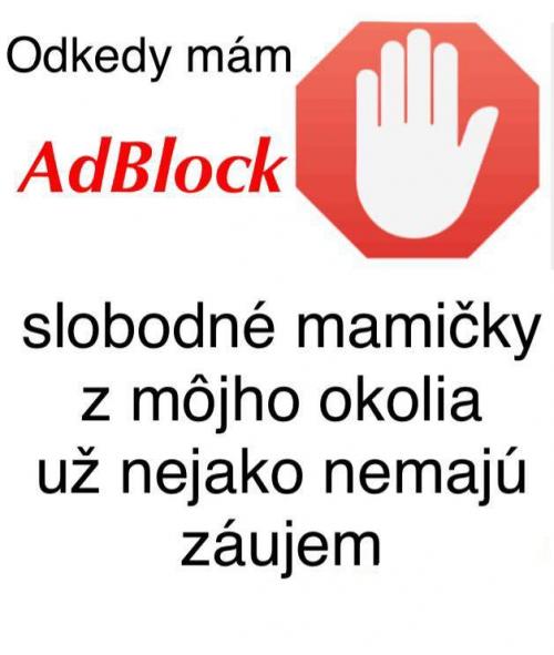  Adblock 