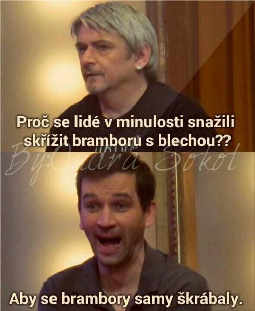  Brambora s blechou  