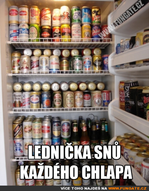  Lednička snů každého chlapa 