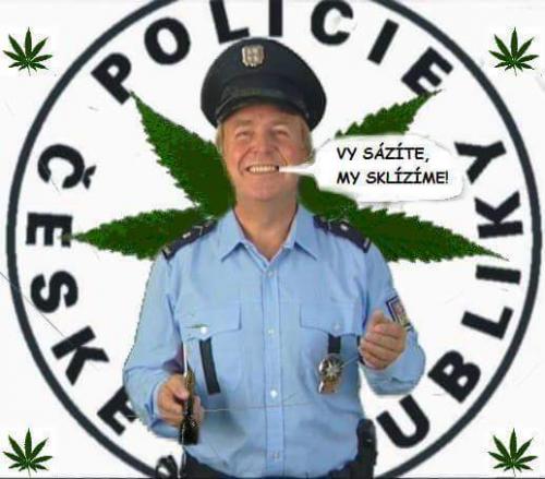 Policie