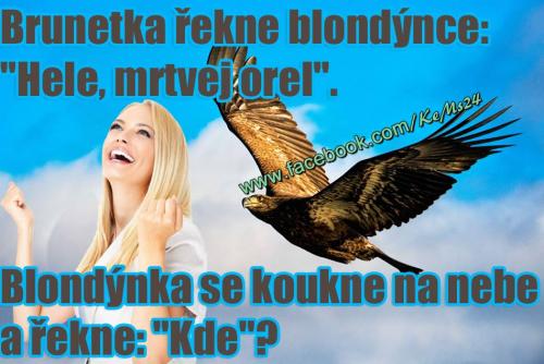  Brunetka a blondýna 