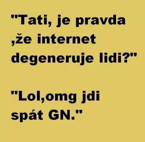  Internet 