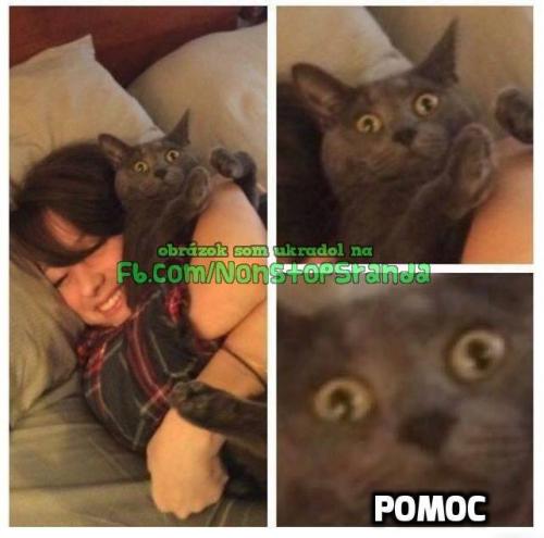  Pomoc 