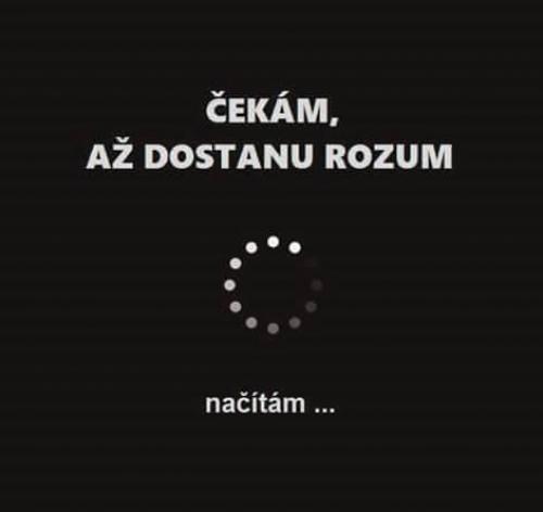  Rozum 