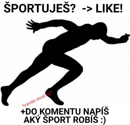  Sport 