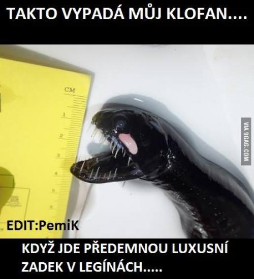  Luxusní zadek v legínách 