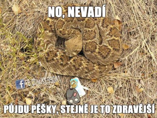  Půjdu pěšky 