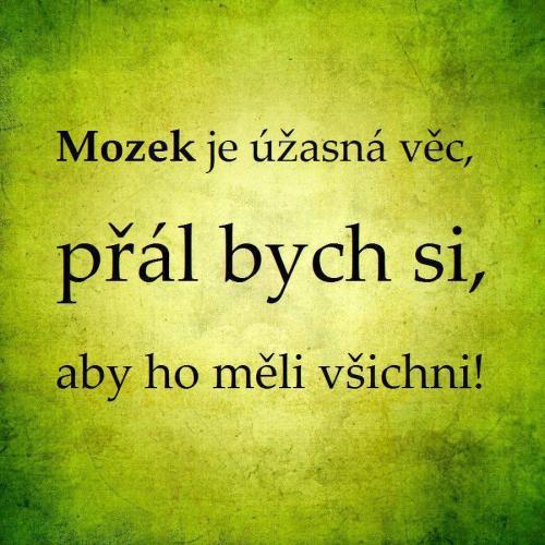  Mozek 