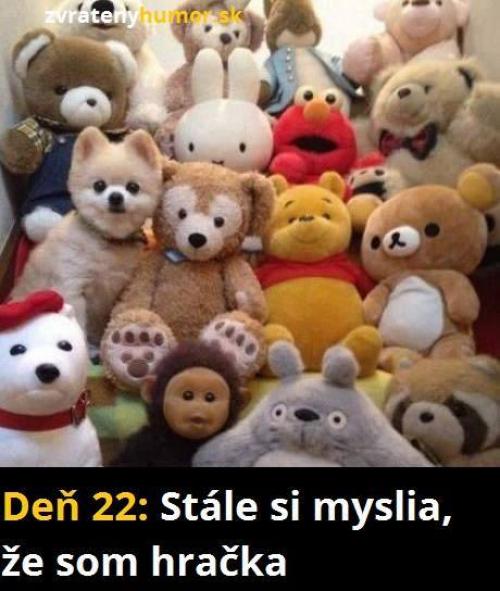  Stále mě nenaši 