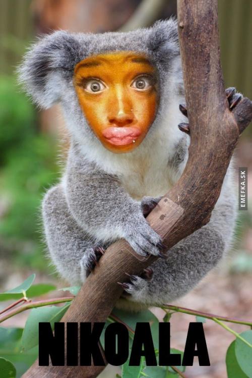 Nikoala