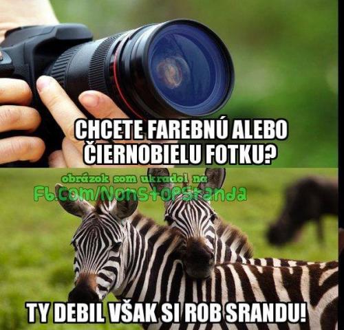 Zebry