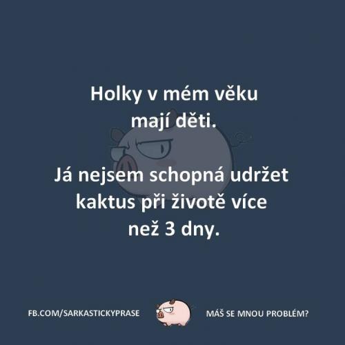  Holky 