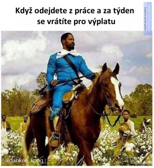  Výplata 