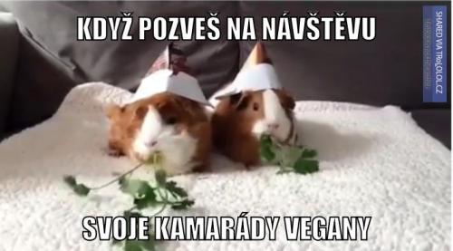  Kamarádi vegani 