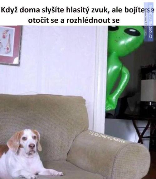 Hlasitý zvu
