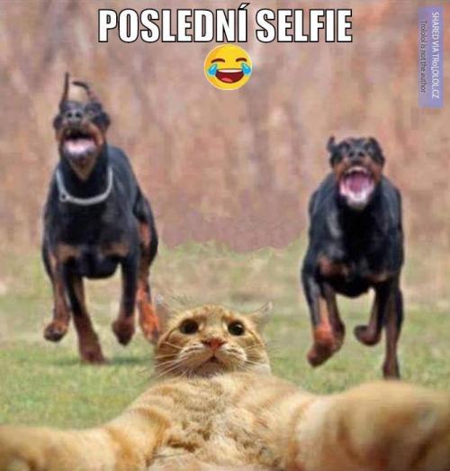  Poslední selfie 