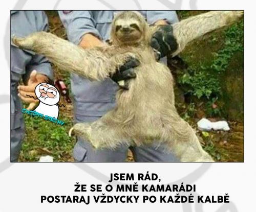 Po kalbě