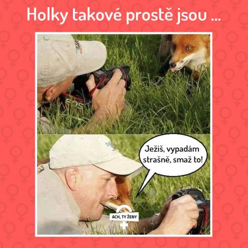 Smaž to