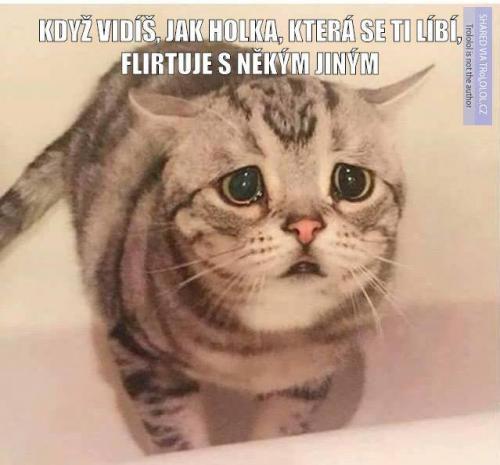 Flirtuje