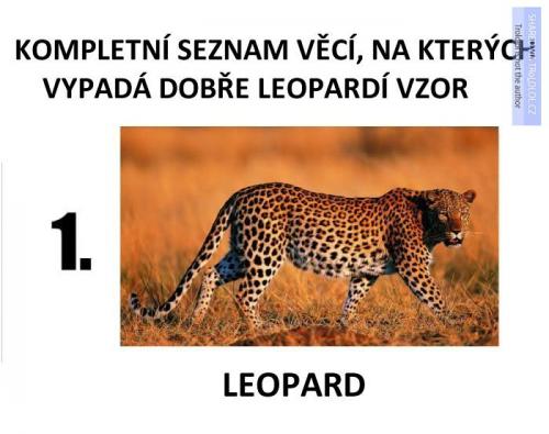  Leopardí vzor 