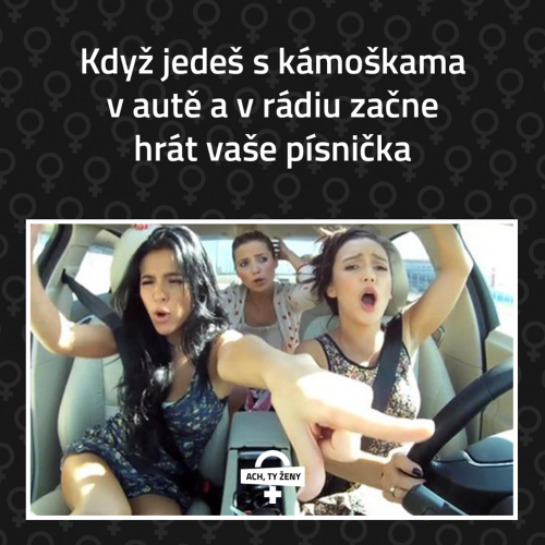  Kámoška v autě 