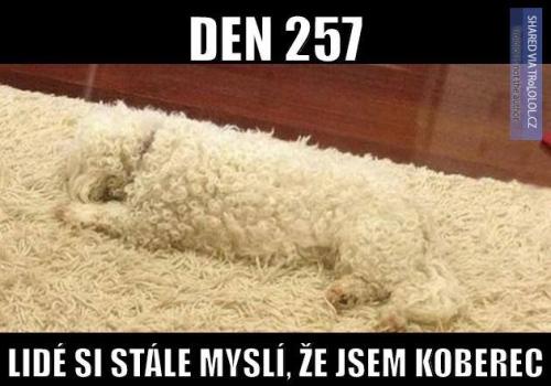  Den 257 