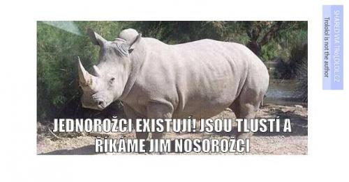 Jednorožci