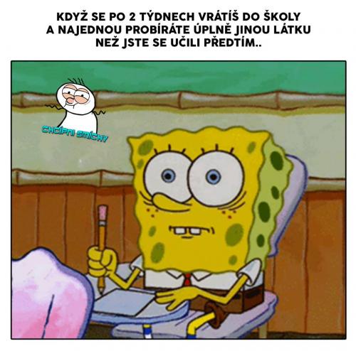 Nechápeš