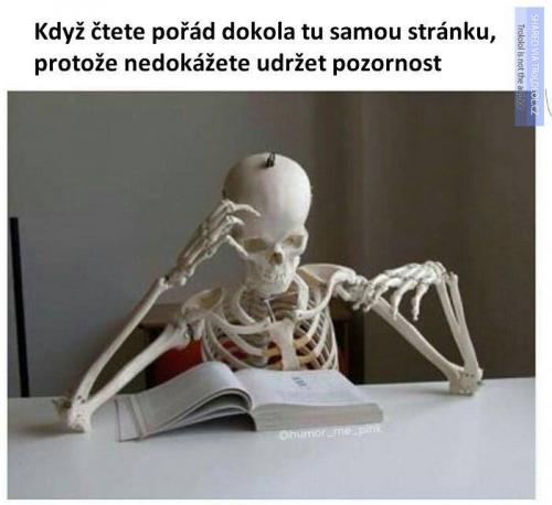Stejná stárnka