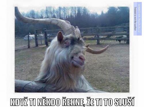 Sluší ti to