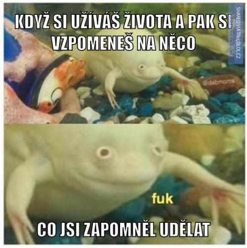  Co jsi zapomněl 