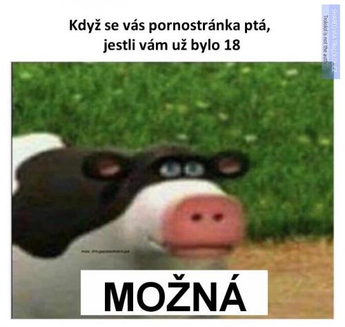  Dotazník o věku 