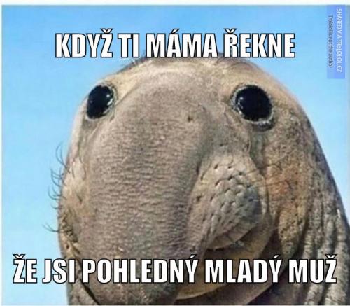  Muž 